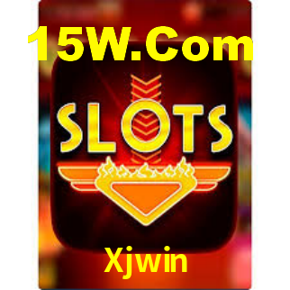 Interface Premium Xjwin